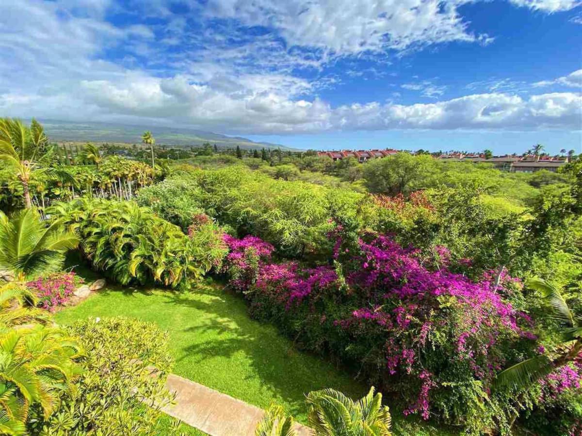 Penthouse 1 Bd King Suite With Ocean Views! Wailea (Maui) Exterior foto